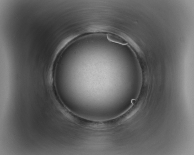 X0000116100885200911231123