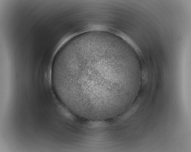 X0000116100886200911231123