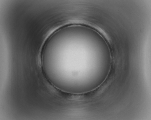 X0000116100887200911231123