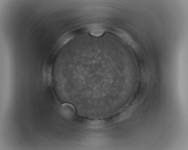 X0000116100889200911231123