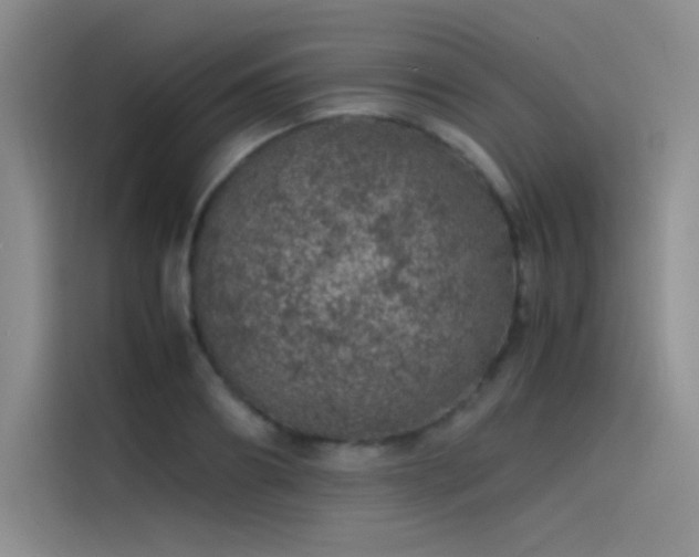 X0000116100890200911231123