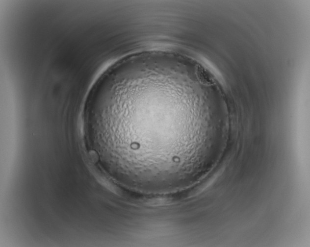 X0000116100891200911231123