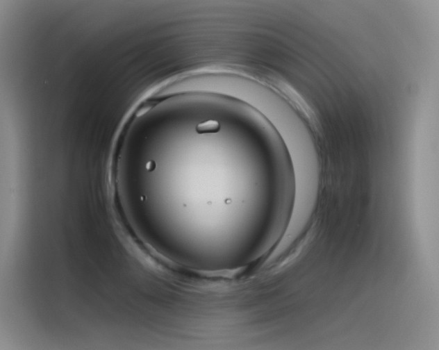 X0000116100892200911231123