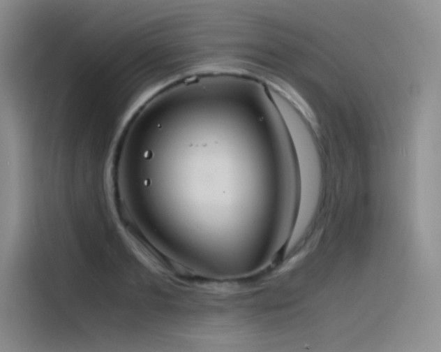 X0000116100893200911231123