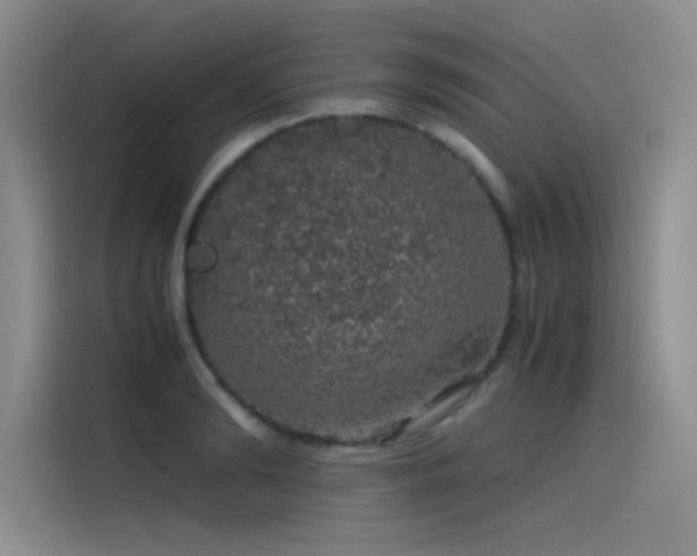 X0000116100894200911231123