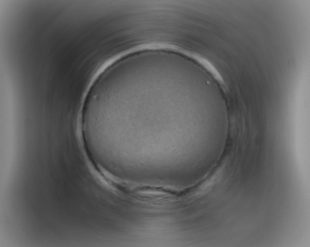 X0000116100895200911231123