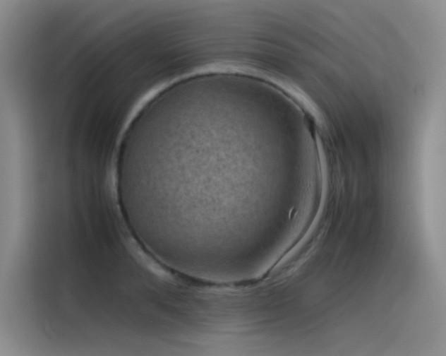 X0000116100896200911231123
