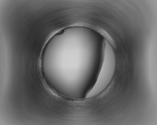X0000116100900200911231123