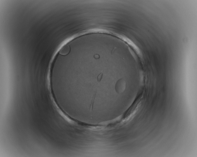 X0000116100902200911231123