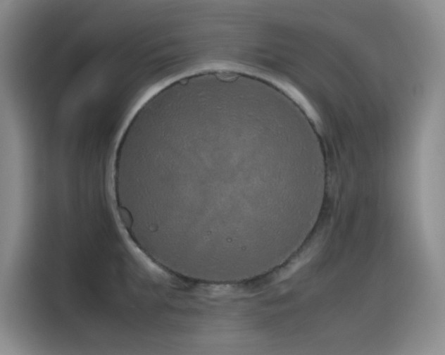 X0000116100903200911231123
