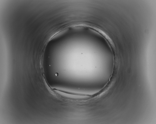 X0000116100905200911231123