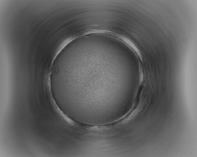 X0000116100906200911231123