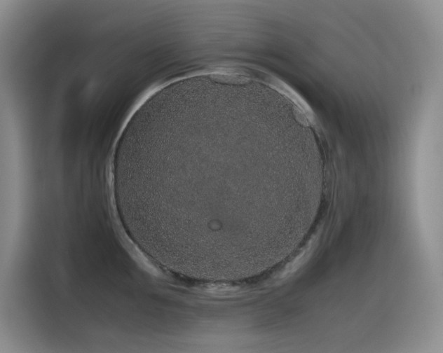 X0000116100907200911231123