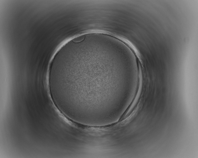 X0000116100910200911231123
