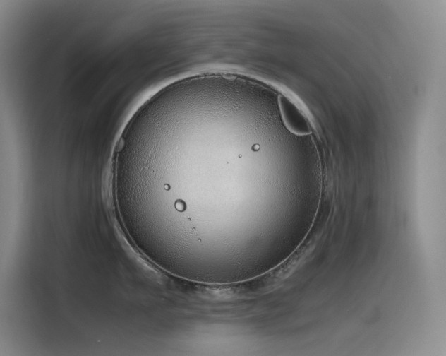 X0000116100911200911231123