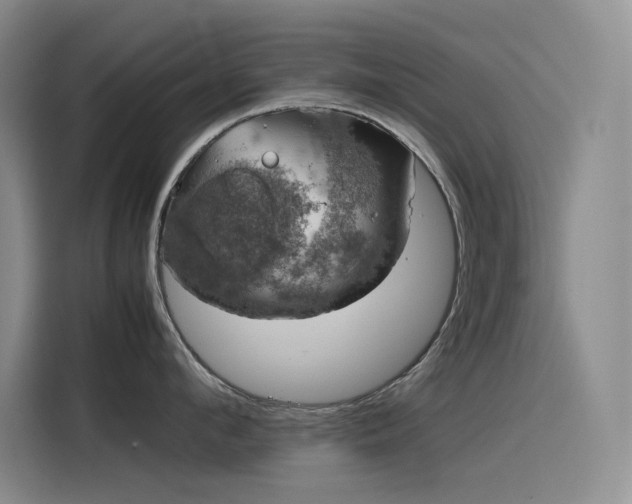 X0000116100912200911231123