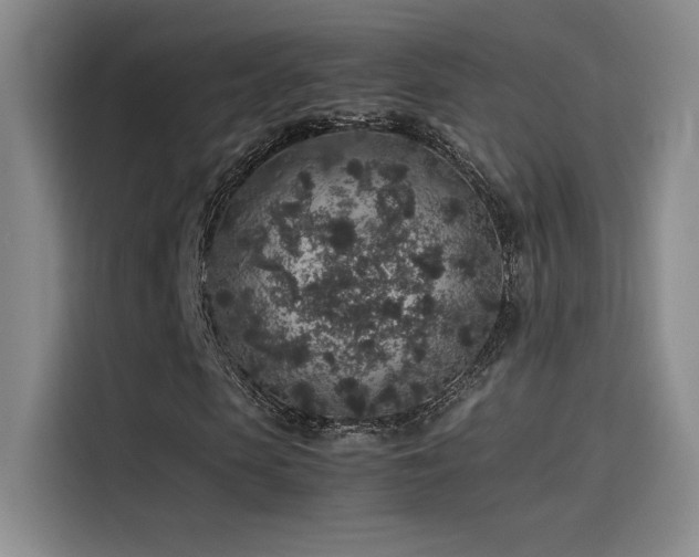 X0000116100913200911231122