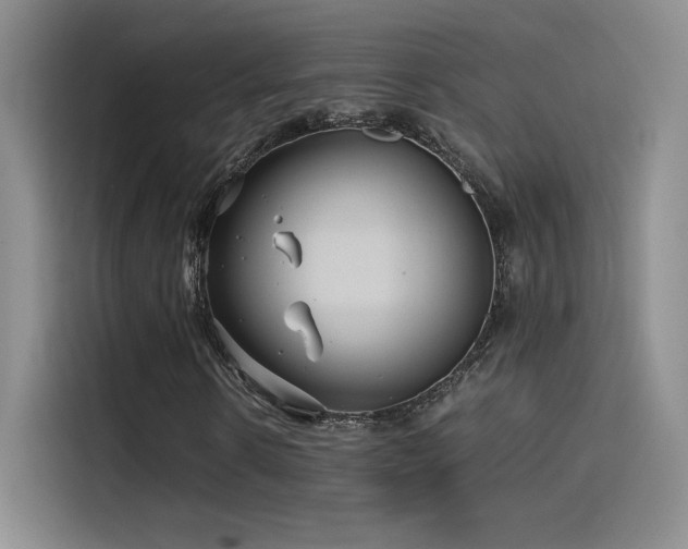 X0000116100914200911231122