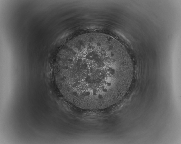 X0000116100917200911231122