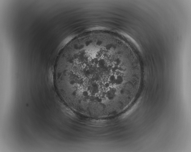 X0000116100921200911231122