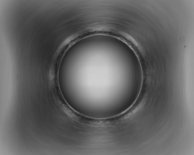 X0000116100922200911231122