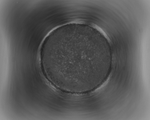 X0000116100923200911231122