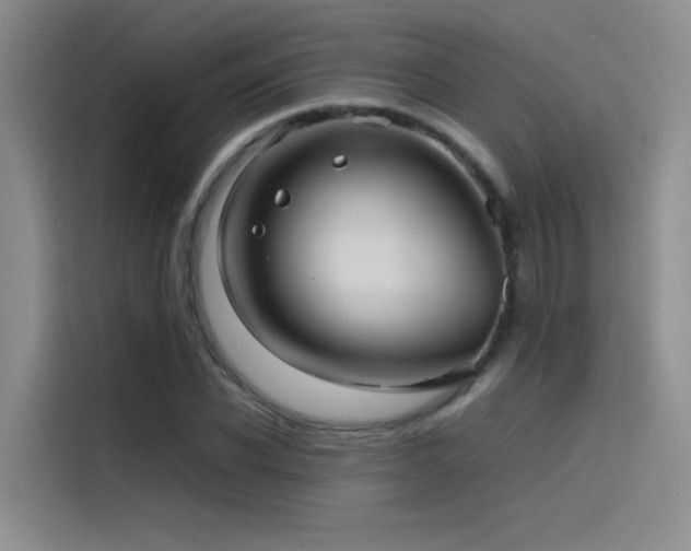 X0000116100926200911231122