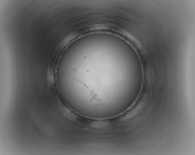 X0000116100929200911231122