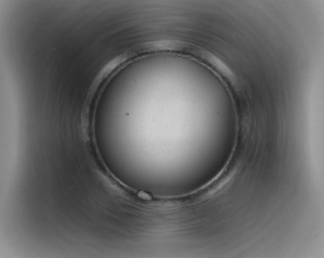 X0000116100930200911231122