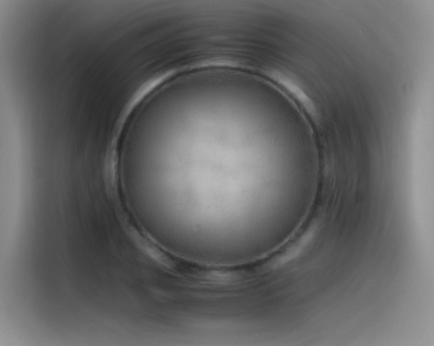 X0000116100933200911231122