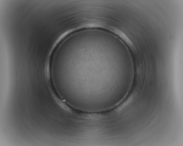 X0000116100934200911231122