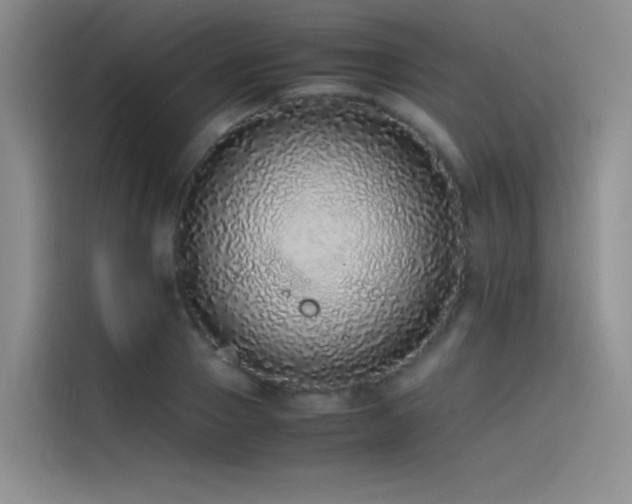 X0000116100937200911231122