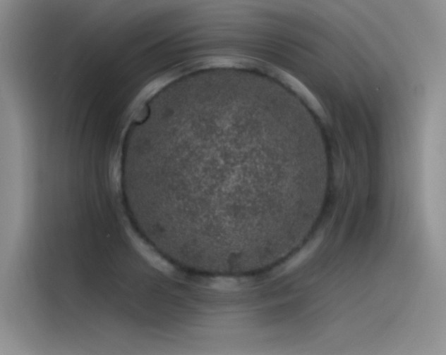 X0000116100938200911231122