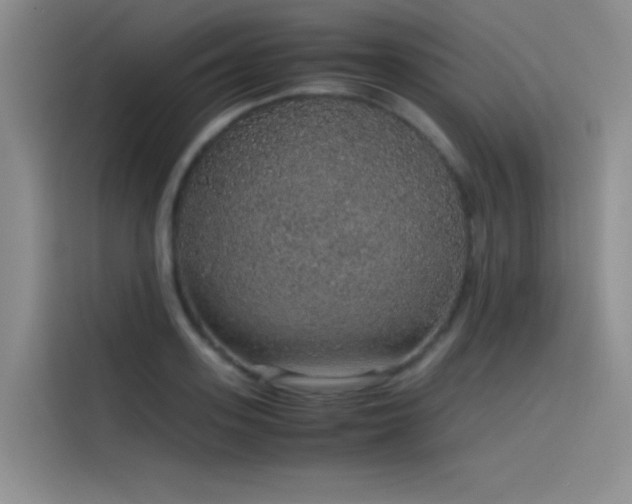 X0000116100939200911231122
