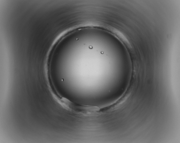 X0000116100942200911231123