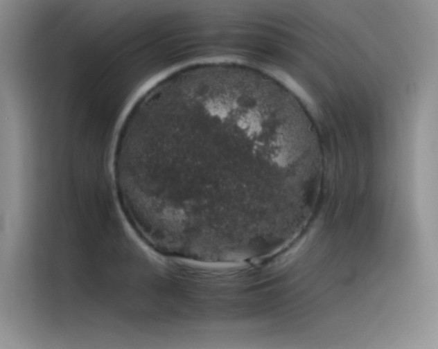 X0000116100943200911231123