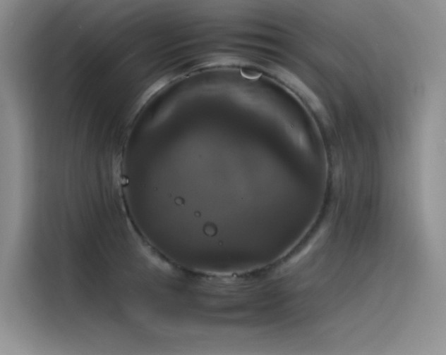 X0000116100945200911231123