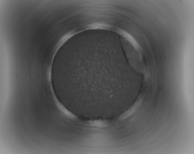 X0000116100946200911231123