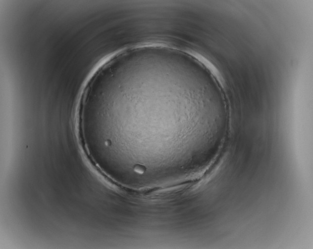 X0000116100949200911231123