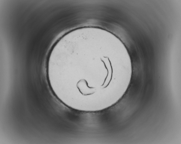 X0000116100950200911231123