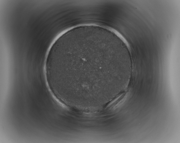 X0000116100951200911231123