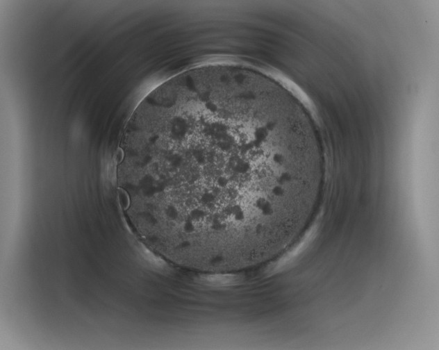 X0000116100953200911231123