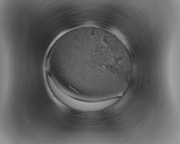 X0000116100955200911231123