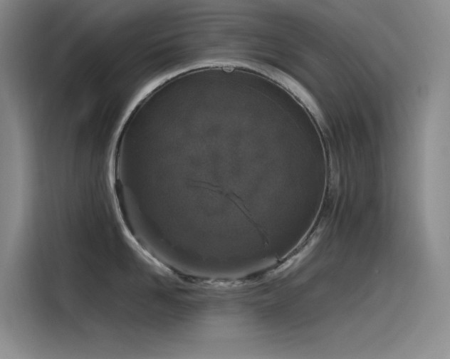 X0000116100958200911231123