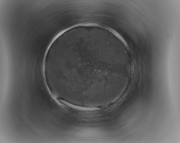 X0000116100959200911231123