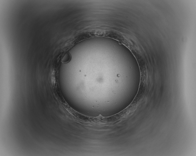 X0000116100962200911231122