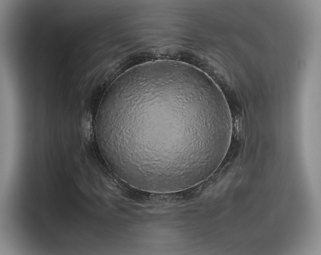 X0000116100963200911231122