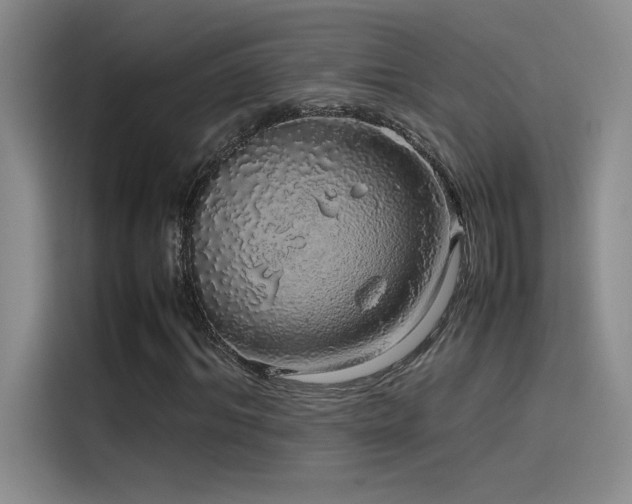 X0000116100964200911231122