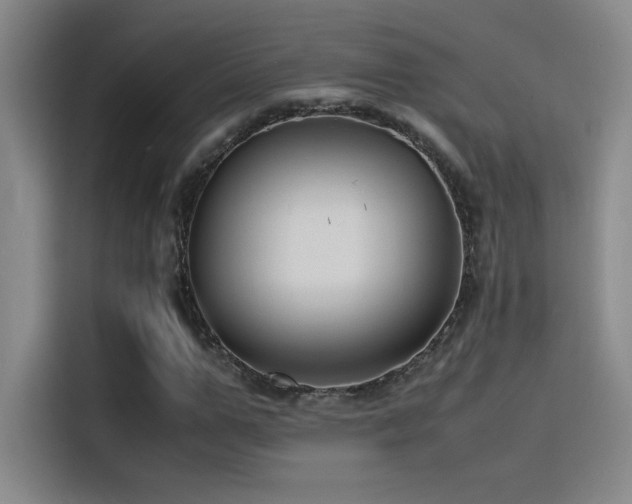 X0000116100967200911231122