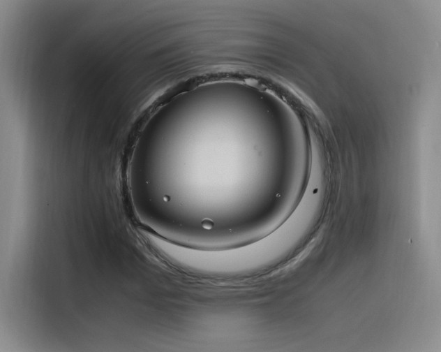X0000116100969200911231122